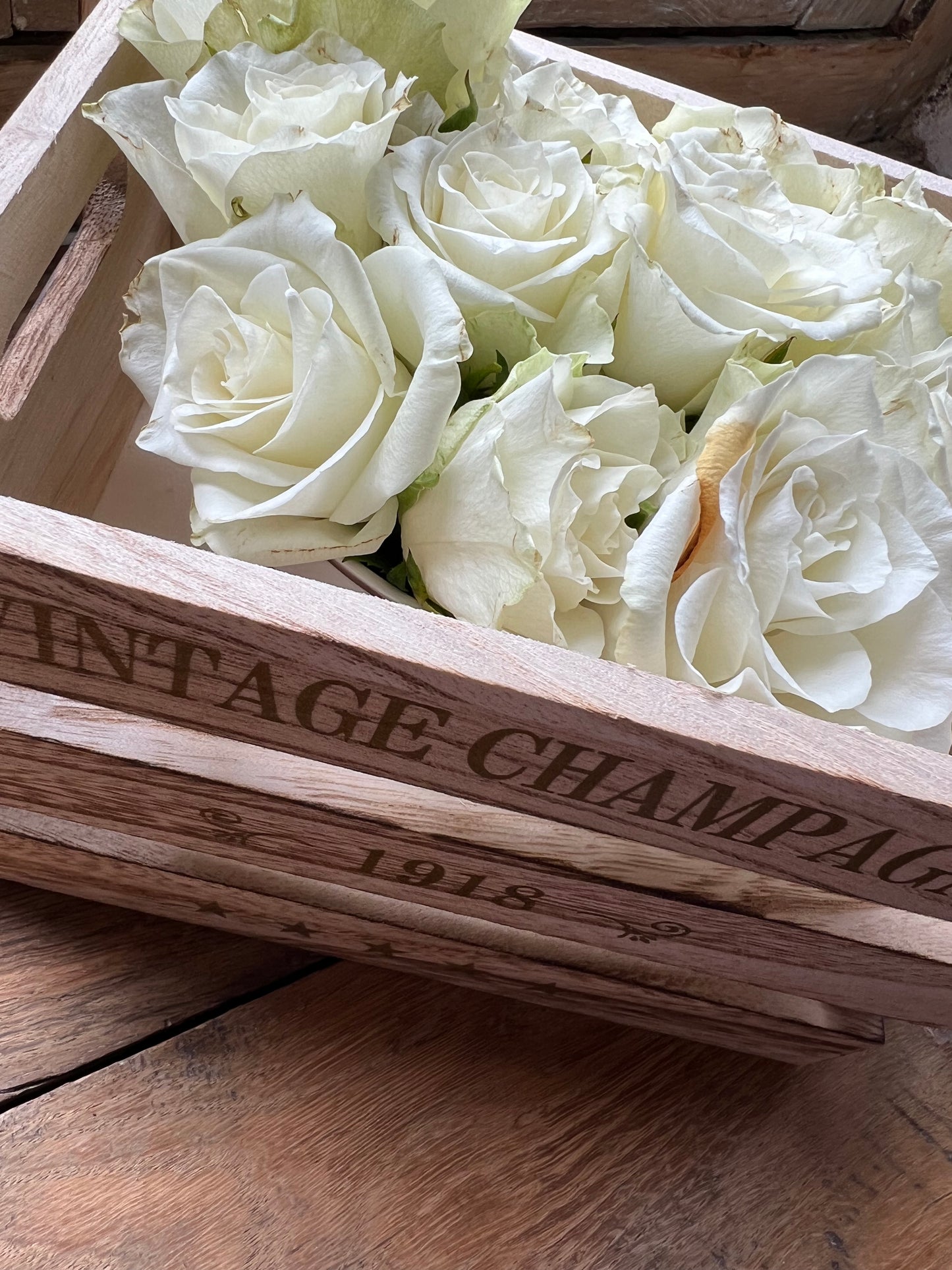 vintage champagne mini crate 🍾